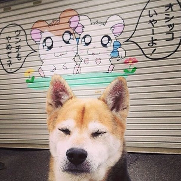 国际知名篮球训练体系引入中国，提升青少年培训水平，中国青少年篮球培训品牌排行