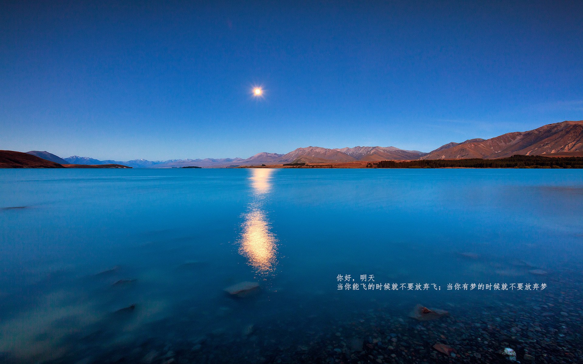 意甲豪门对决,战术变化尽显球队智慧,意甲豪门排名