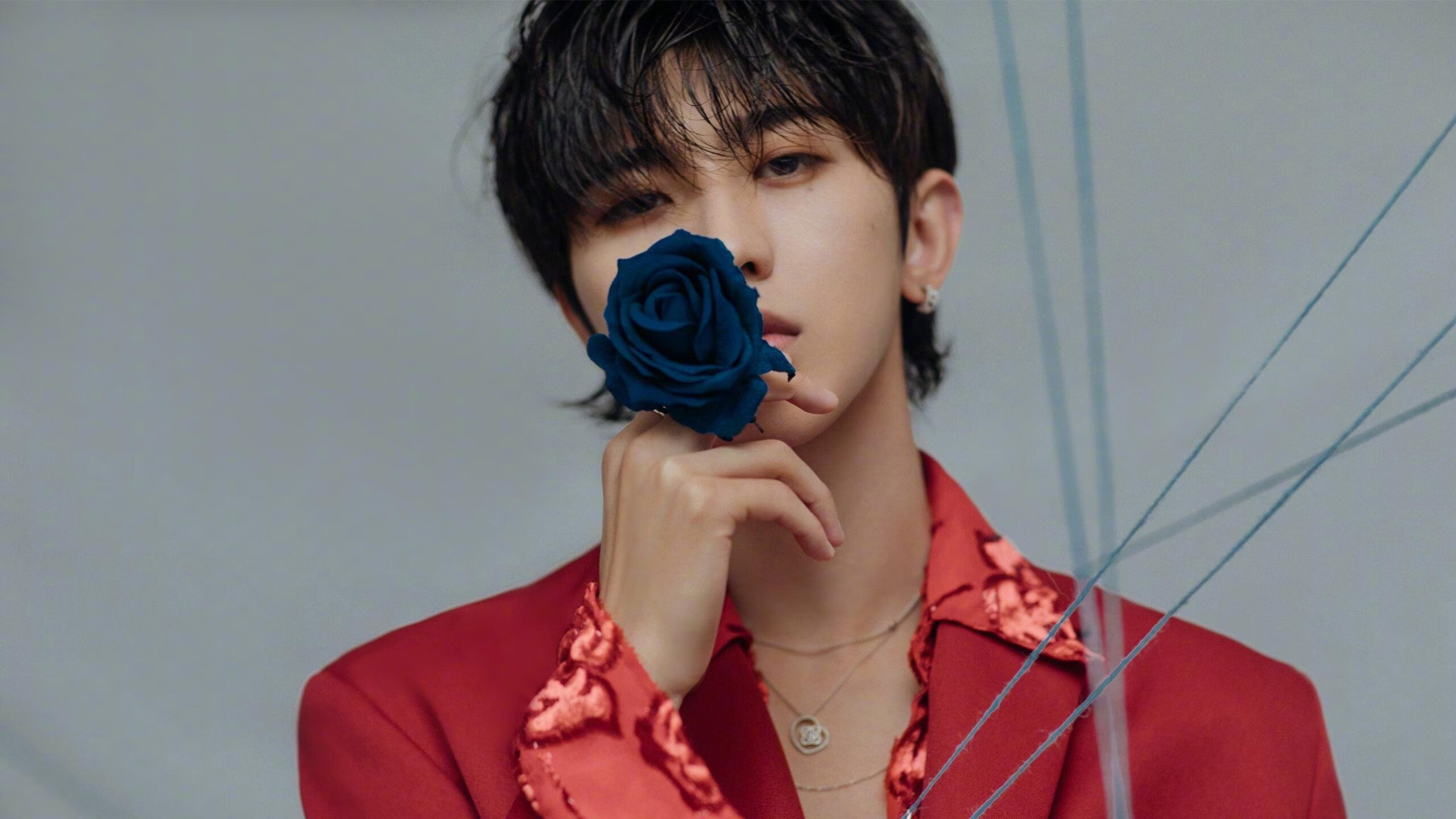 leyu乐鱼-法国出局夜，铁血球迷高唱《马赛曲》，法国马赛曲视频