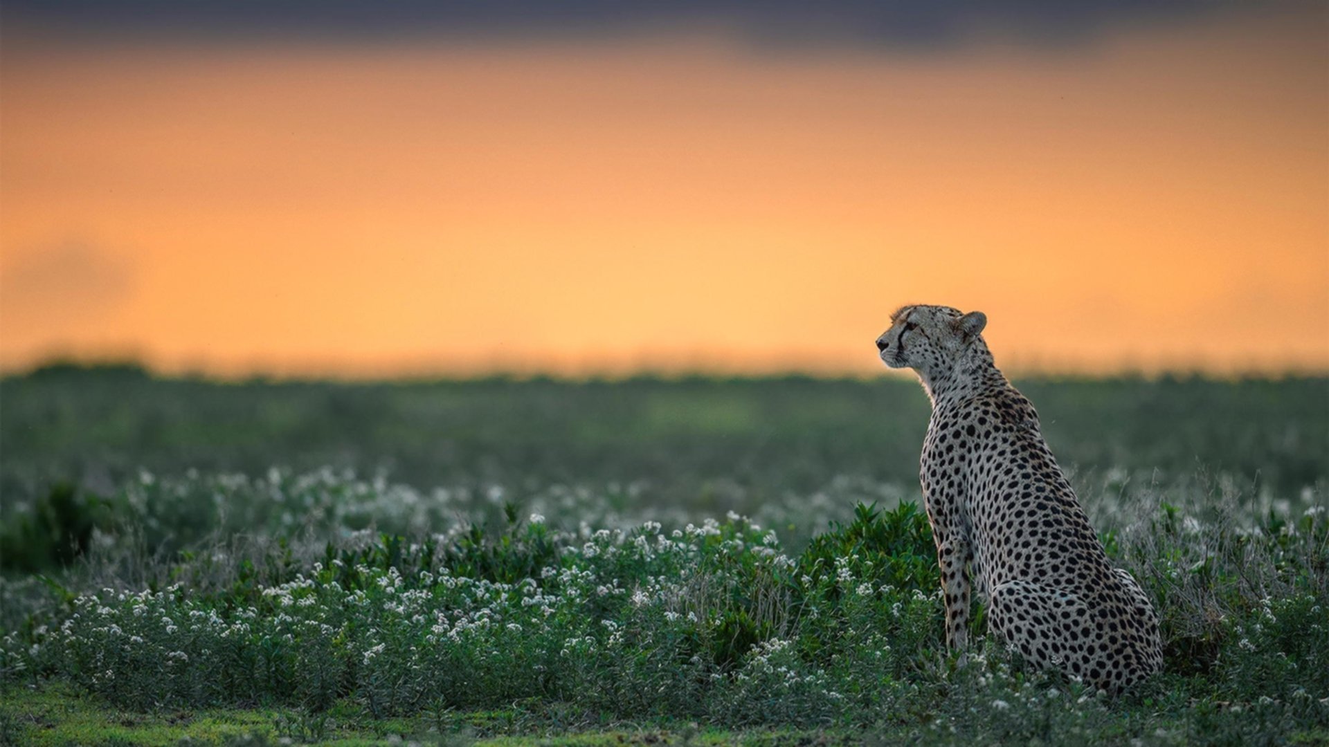 Leyu Sport登录入口-电竞行业的社会责任：公益、教育与文化传播，电竞的社会意义