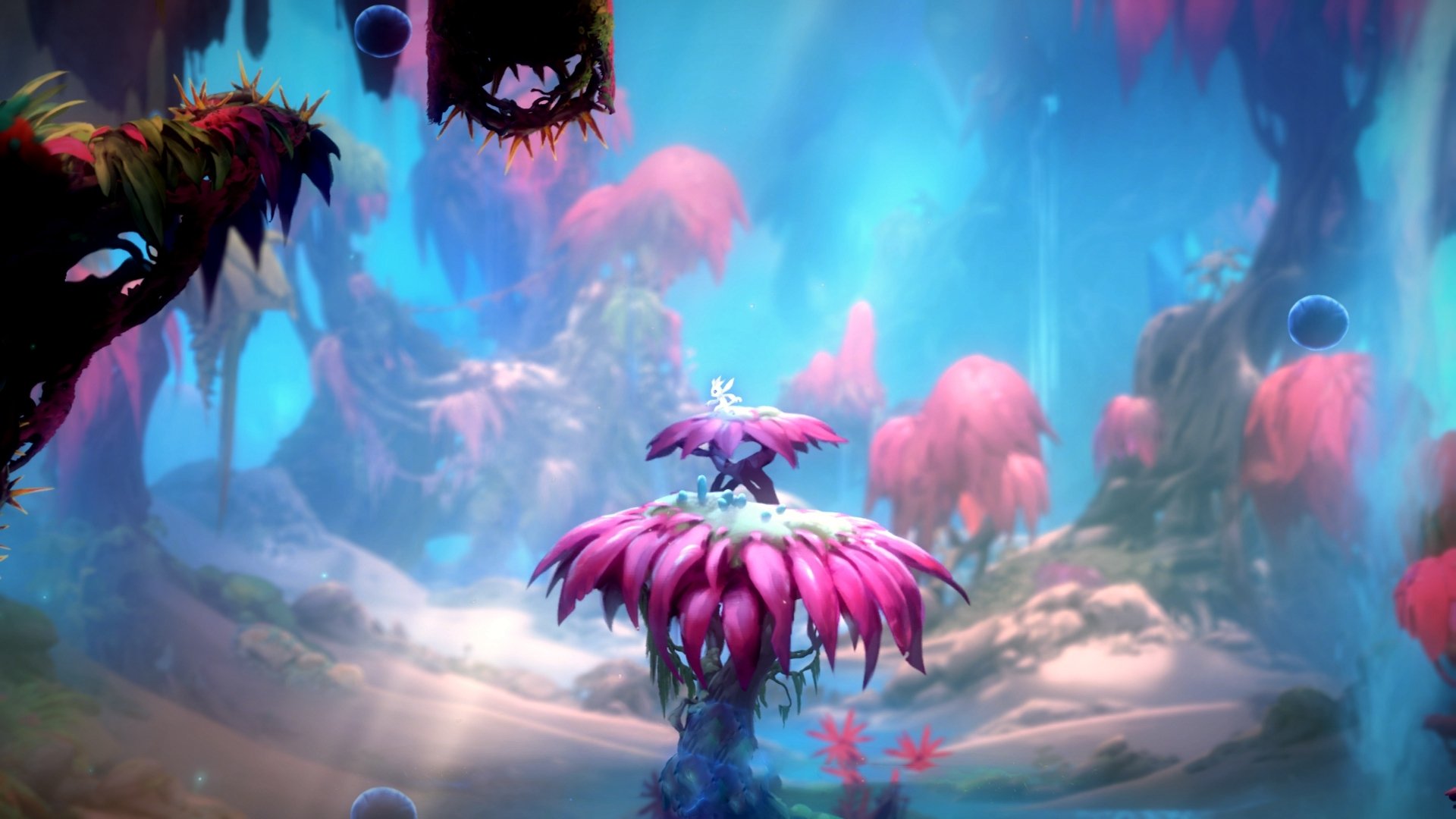 Leyu Sports (乐鱼体育)-RB莱比锡加紧冬季转会，rb莱比锡名单