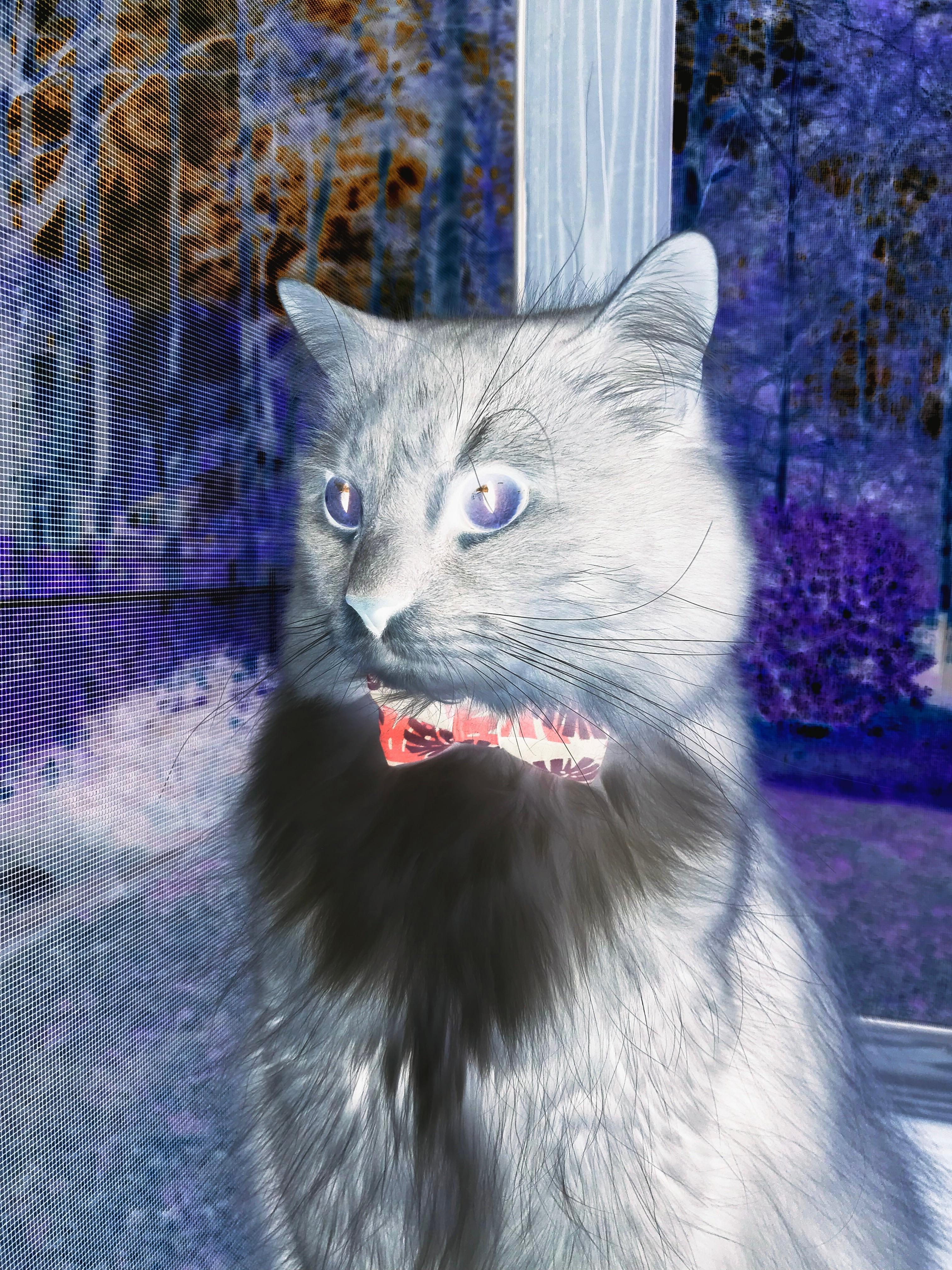 乐鱼电竞在线平台-亚冠赛场烽火连天，胜负难料局面扑朔迷离，亚冠对战