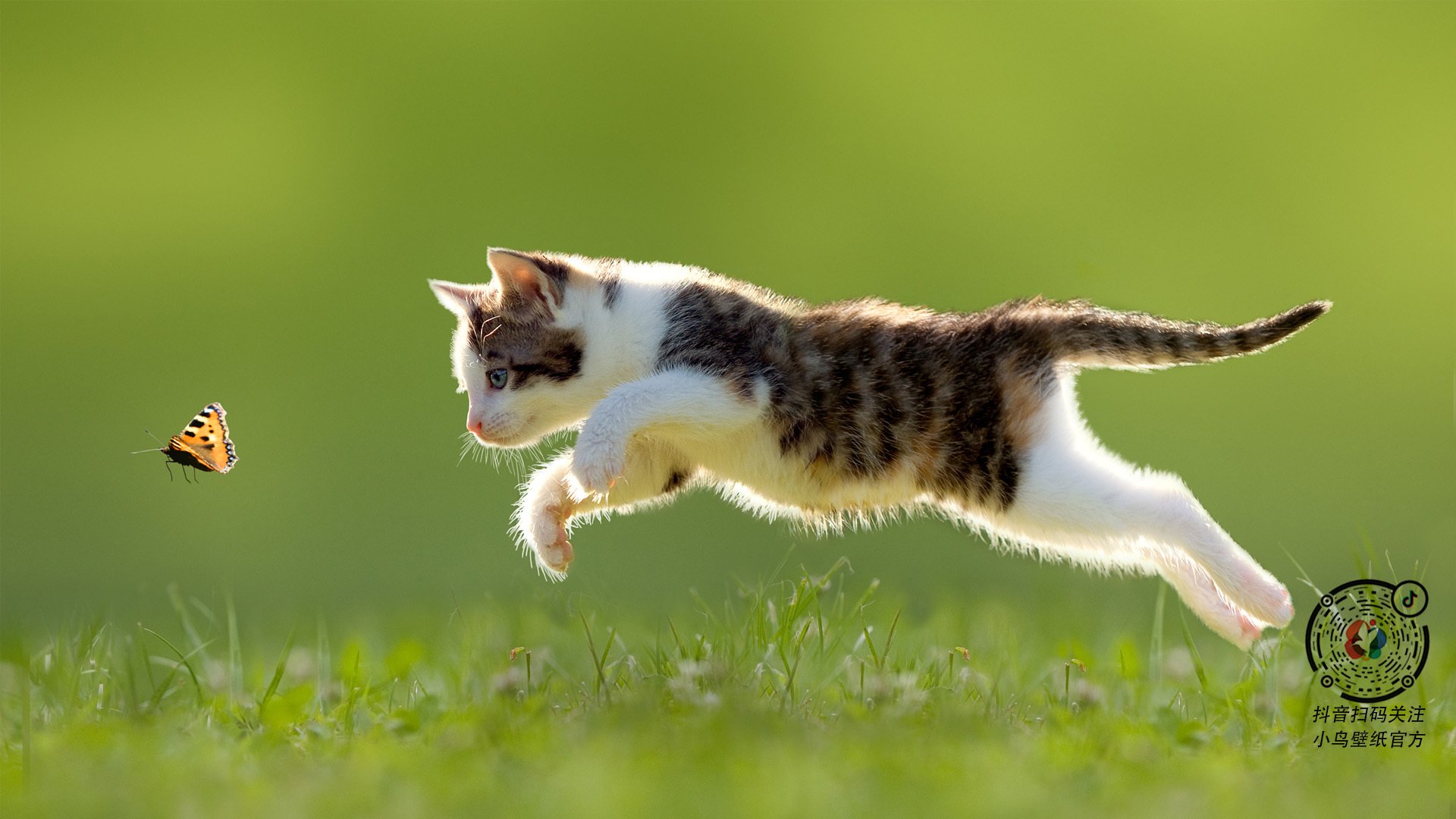 乐鱼体育APP官方下载-凯撒酋长与阿尔萨德达成球员交换协议，凯撒酋长球衣