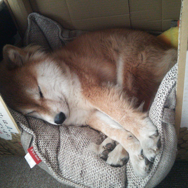 巴塞罗那强化阵容冲击冠军,2021赛季巴塞罗那阵容