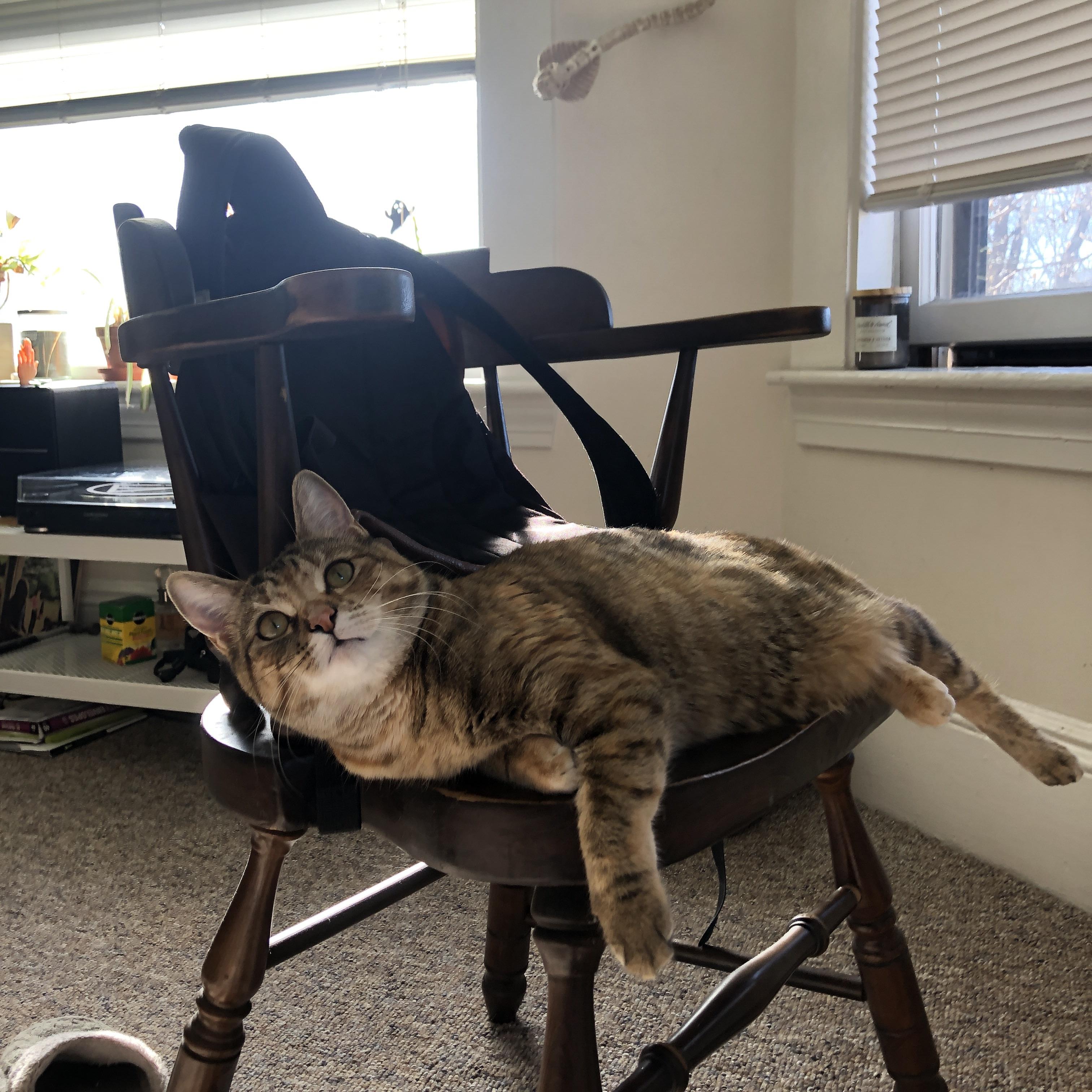 乐鱼体育App下载-球场上的英雄，风云再起谱写非凡传奇，球场上的风采作文