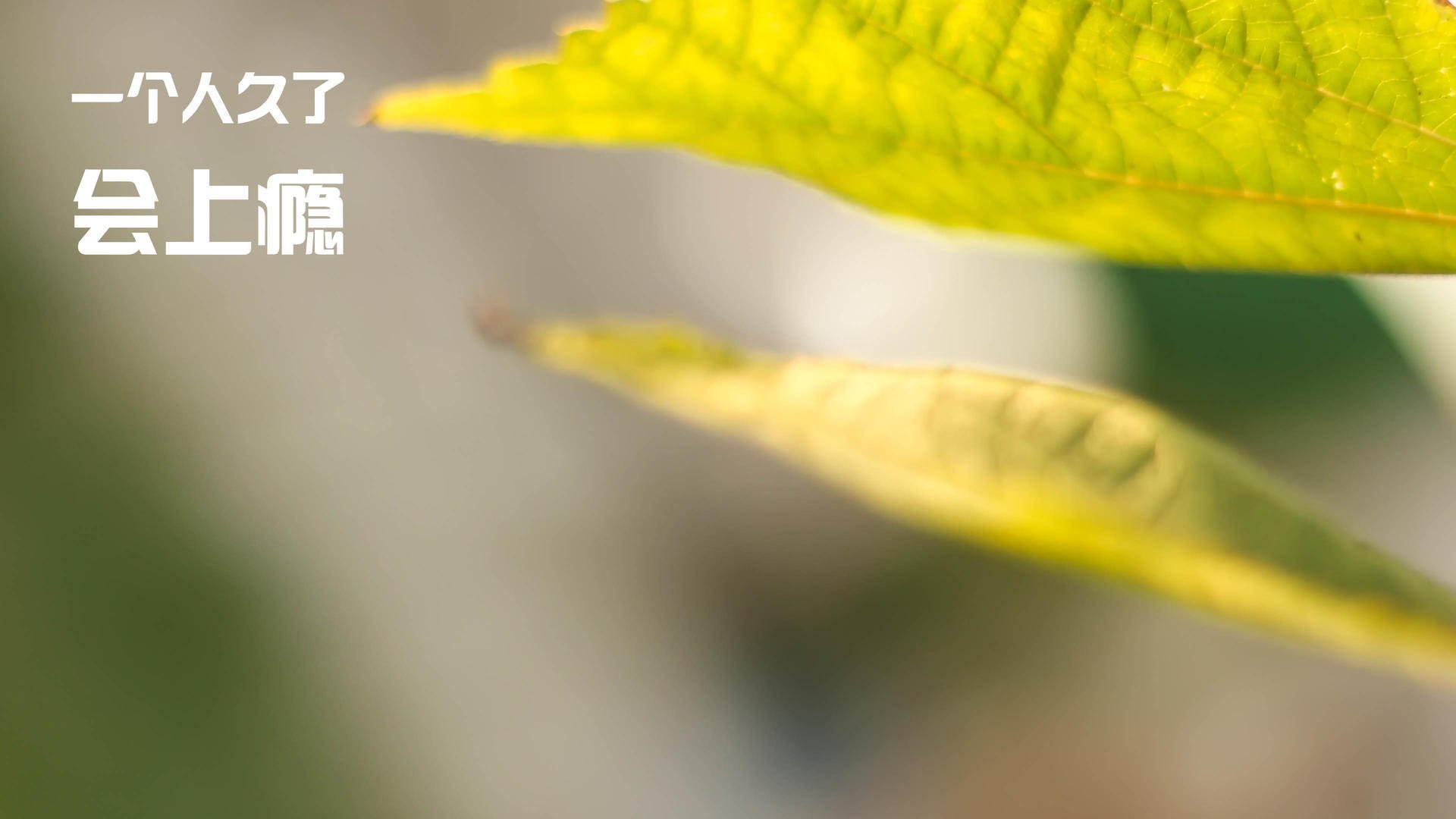 下载乐鱼体育APP-马德里德比硬战预料，历史战绩彰显双方实力，马德里德比集锦