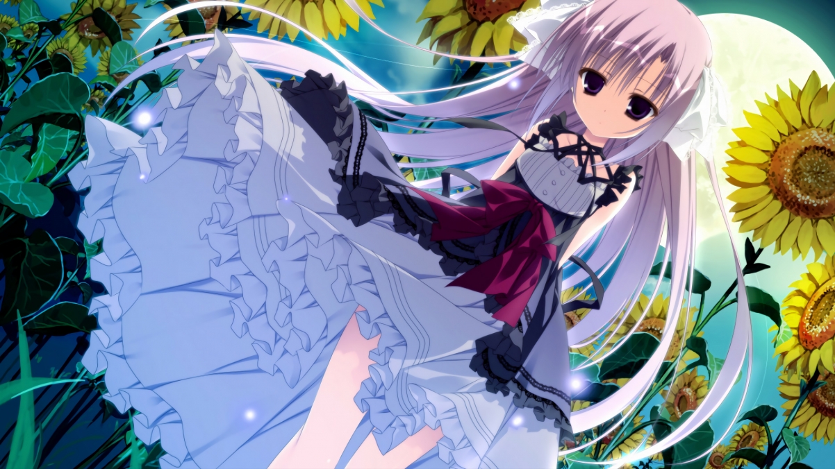 瑞士骑手皮乌斯·施维泽(Pius Schwizer)在巴黎奥运会后宣布退役,结束辉煌的职业生涯。