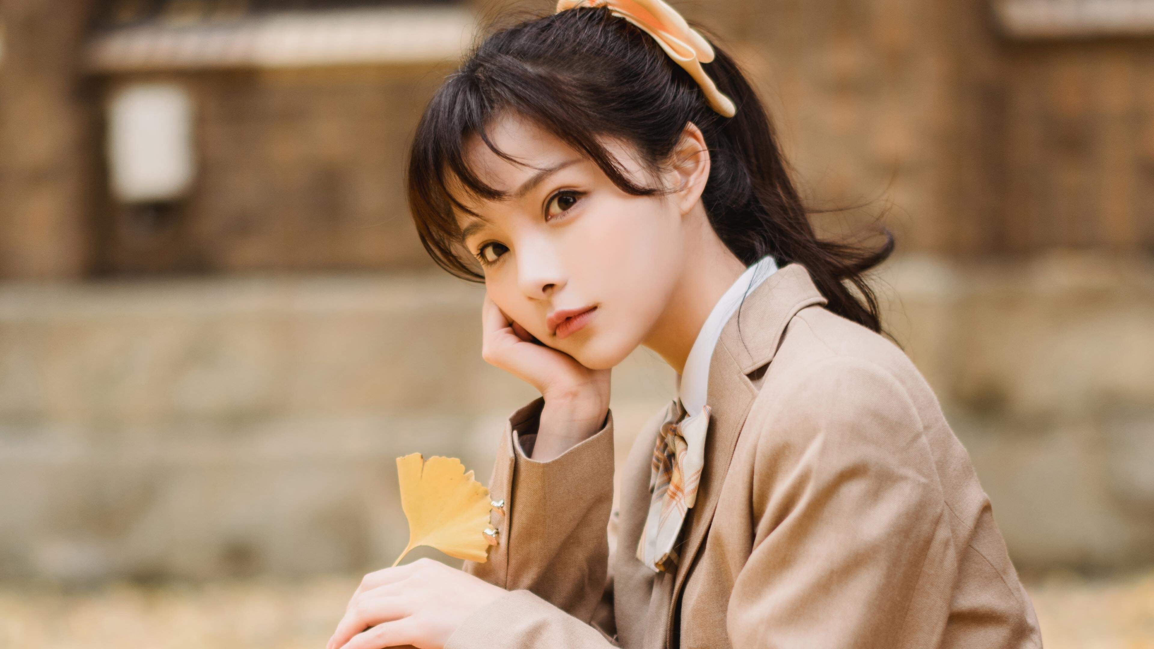 中国篮球联赛观众行为特征与市场营销,篮球观众席座次安排图