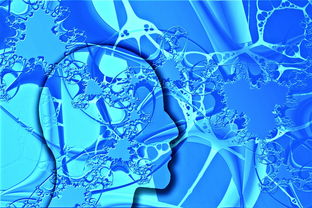 乐鱼官网-中国足球不同战术体系试验数据，国足战术风格