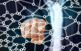 乐鱼电竞· (中国)官方网站-中国足球青训梯队人员年龄层结构，足球青训年龄段