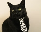 体育新闻内容导向与受众需求匹配分析,体育新闻报道的基本要求