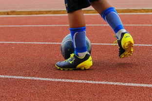 leyu乐鱼在线登录入口-未来潜力：年轻球员的崛起路径，年轻球员是中国足球未来发展的基础