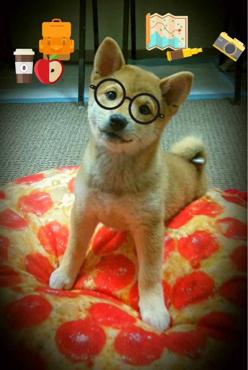 体育新闻中心主办体育新闻专业人才交流会,中国体育科学学会体育新闻传播分会