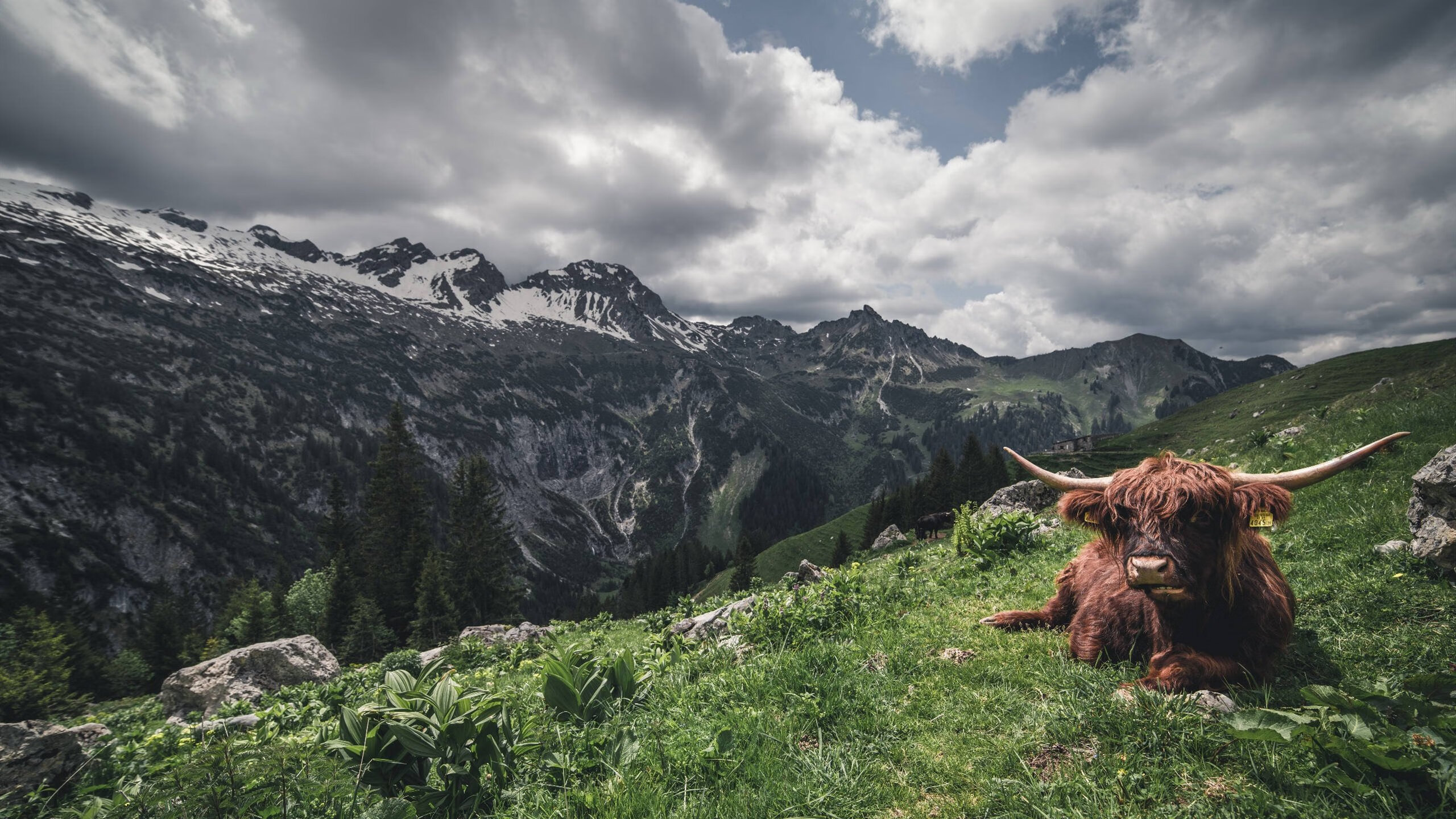 LeyuSports-布莱顿控球率持续攀升掌控主动权，布莱顿足球俱乐部球星