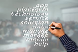 leyu.com-瑞典队未来：如何建立更具竞争力的国际品牌，瑞典队分析