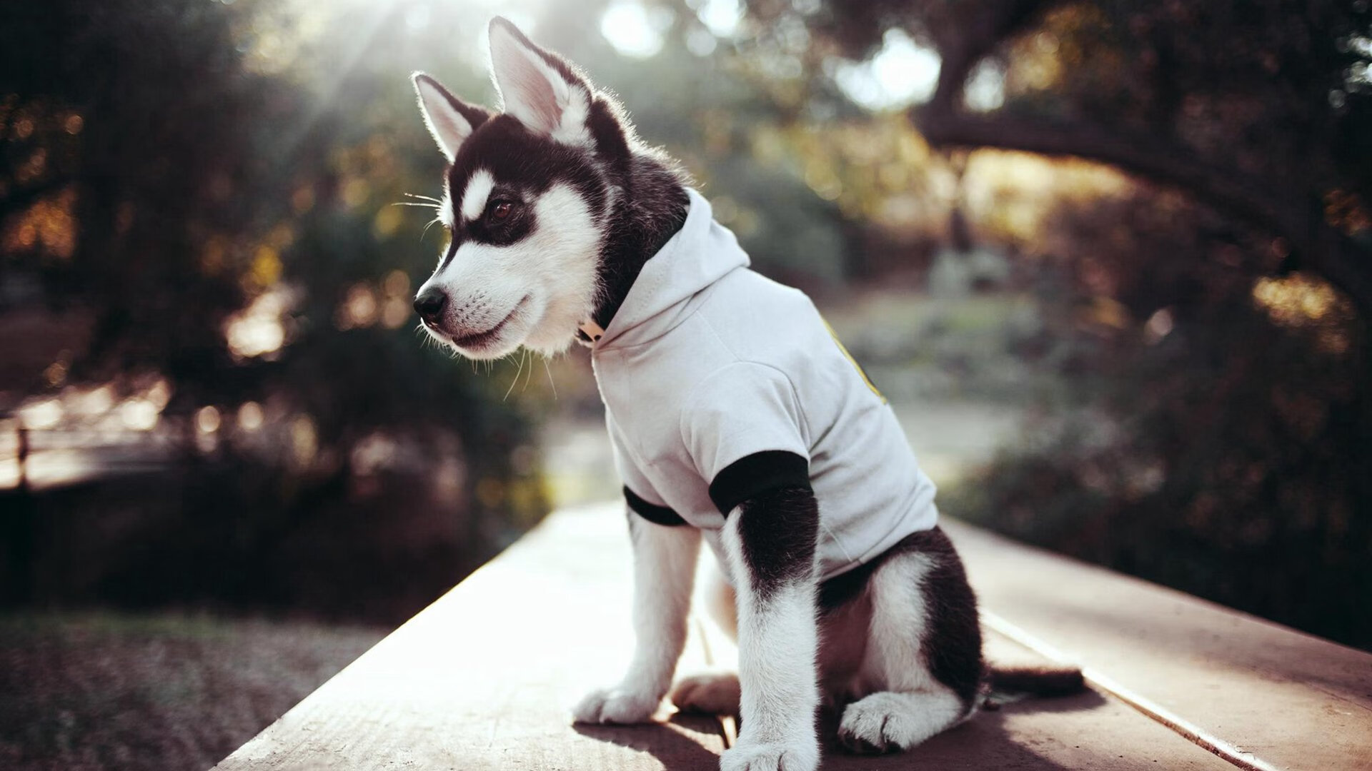 C罗遭遇冷门世界杯,c罗足球世界杯