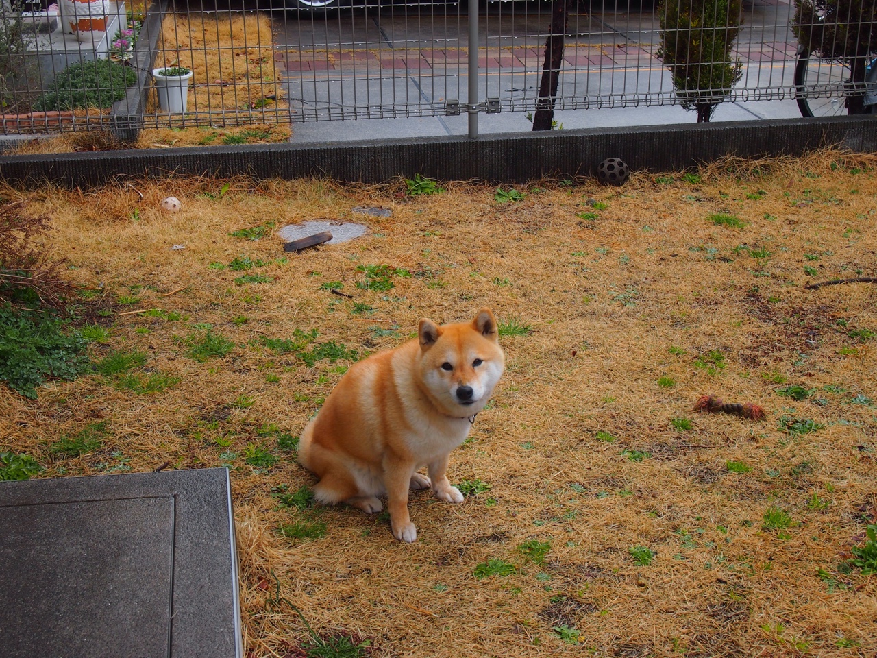 利物浦在欧冠中奋勇争夺,冲击更高荣誉