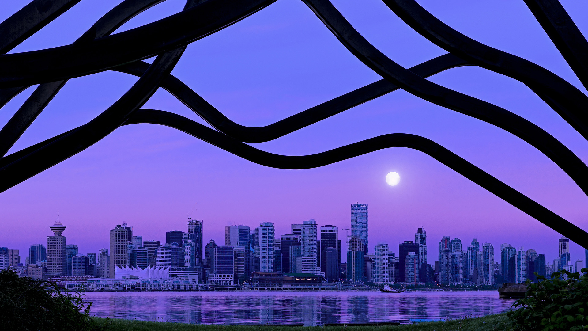 张雨霏在采访中表达对家人感谢,张雨霏回答记者提问