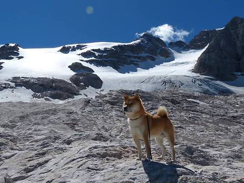 乐鱼体育登录-法甲新星崛起：未来之光闪耀未来！，法国足球未来之星
