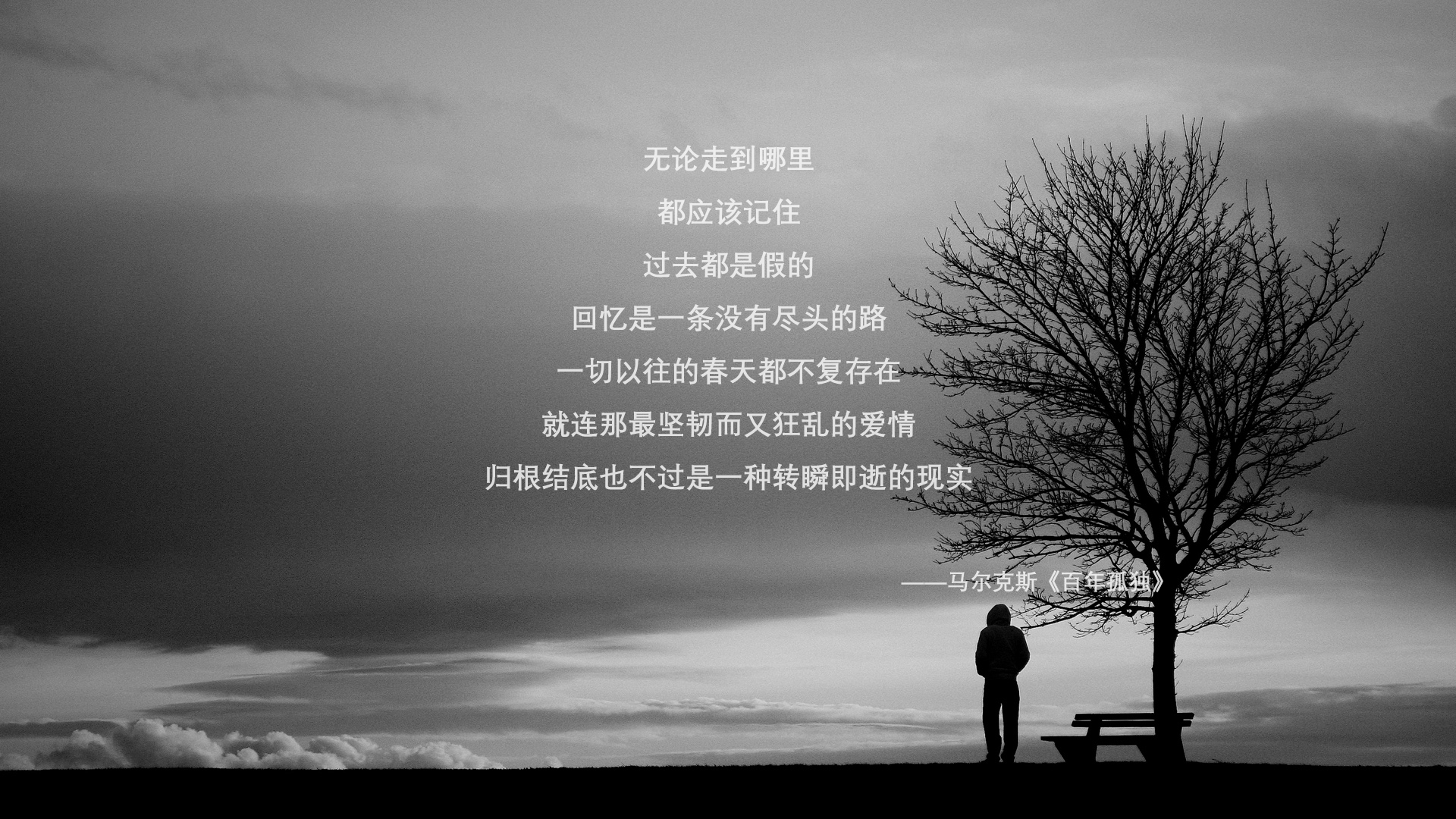 法甲闪耀瞬间:冠军级的战术解读,法甲冠军怎么算