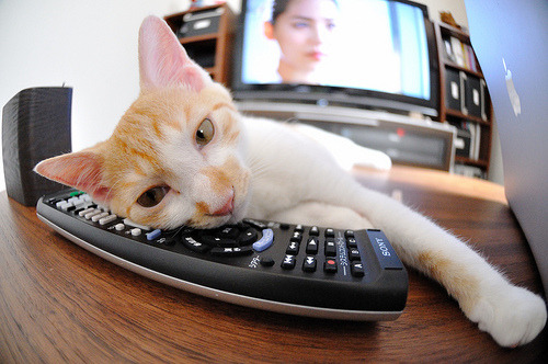 leyu乐鱼在线登录入口-苏炳添体验高原训练对心肺影响较大，苏炳添原地跳高