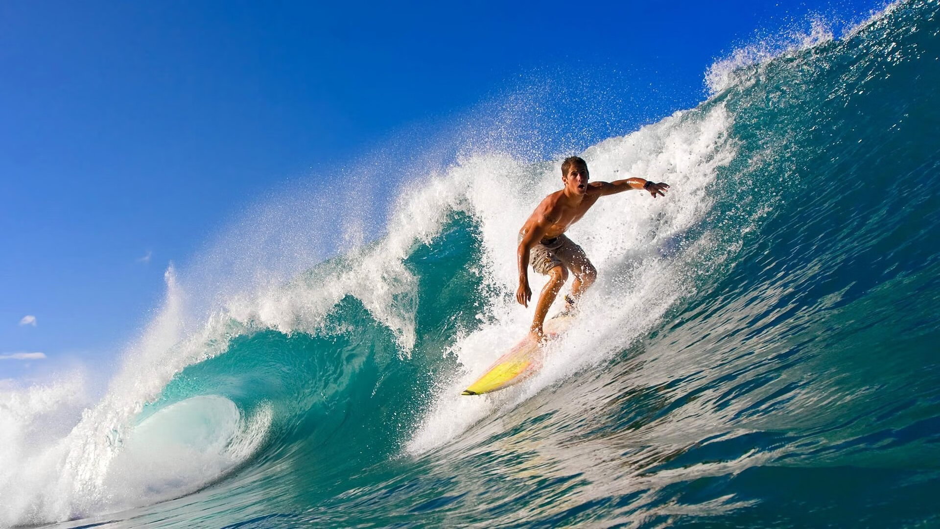 Leyu Sport登录入口-_北极探险赛：冰天雪地中的极限运动_，北极探险视频